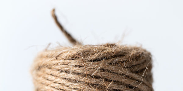 Everything You Need to Know About Industrial Hemp